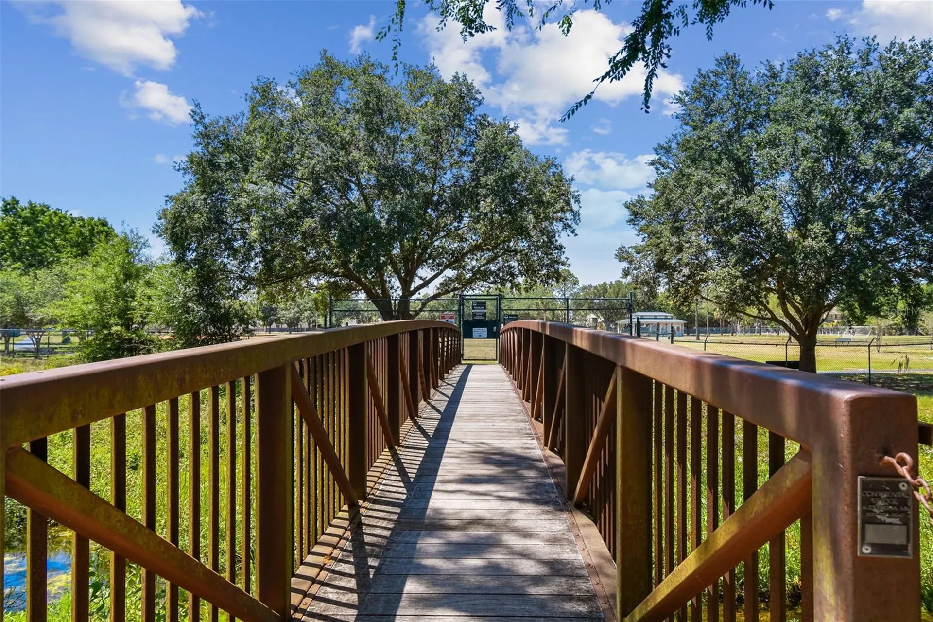 10916 Carrollwood Drive Tampa FL 33618