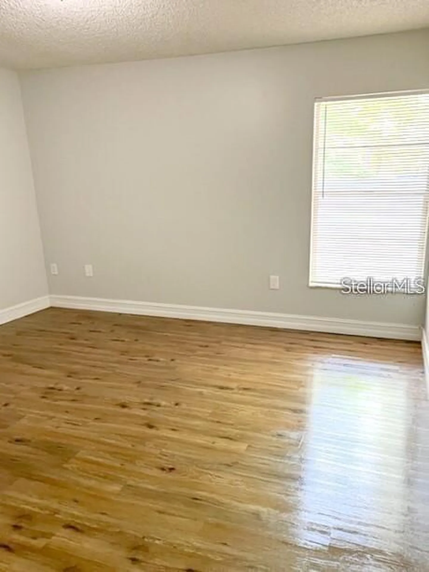 1922 Crystal Grove Drive Lakeland FL 33801
