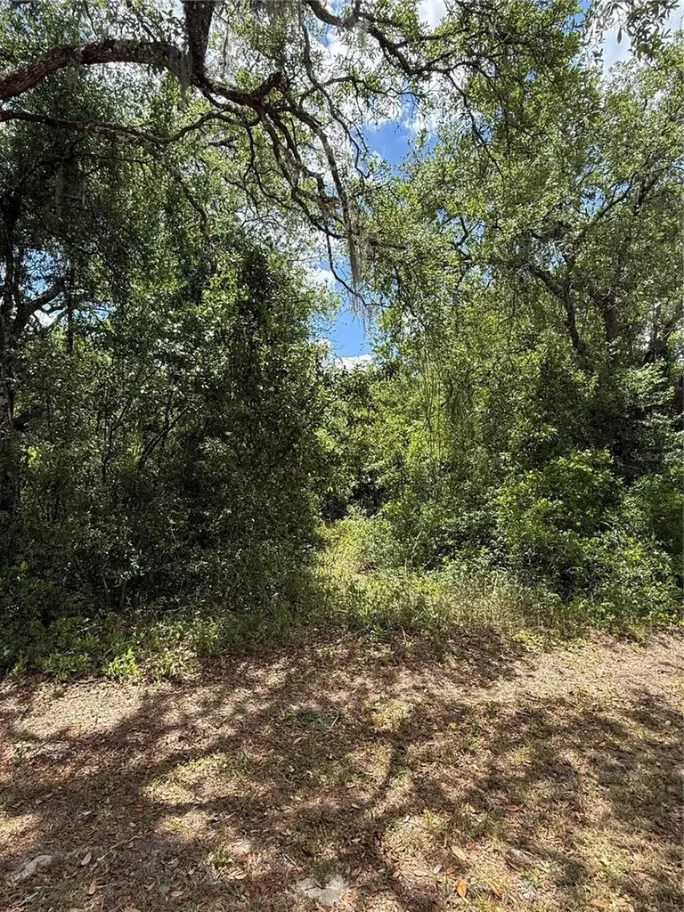 Lewis Lane Webster FL 33597
