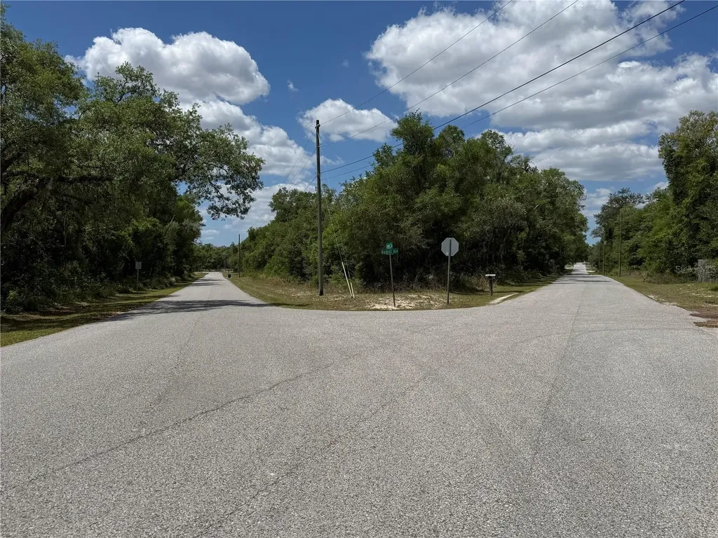 Lewis Lane Webster FL 33597
