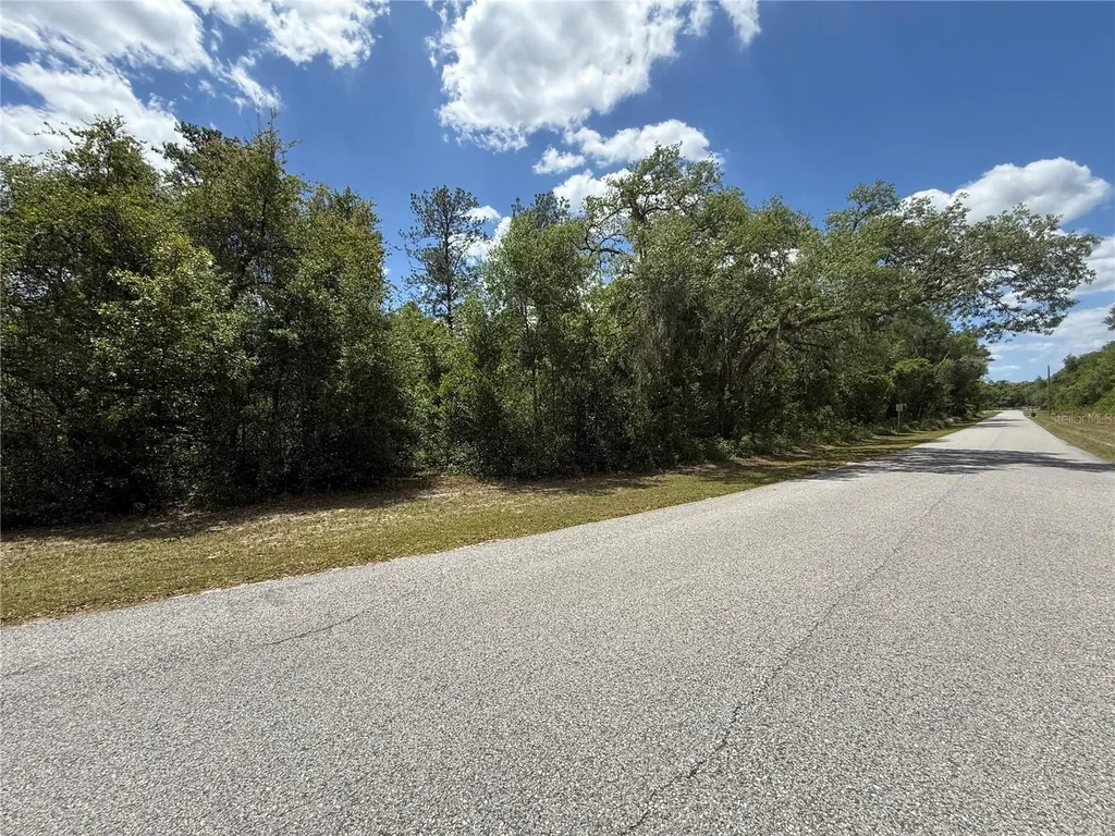 Lewis Lane Webster FL 33597