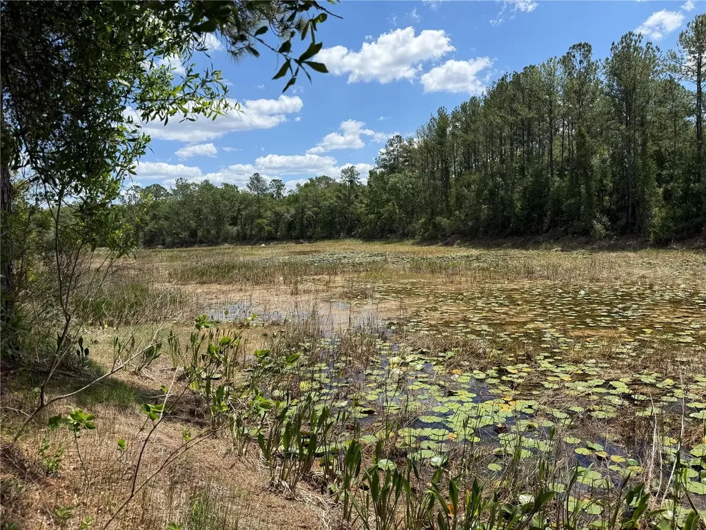 Lewis Lane Webster FL 33597