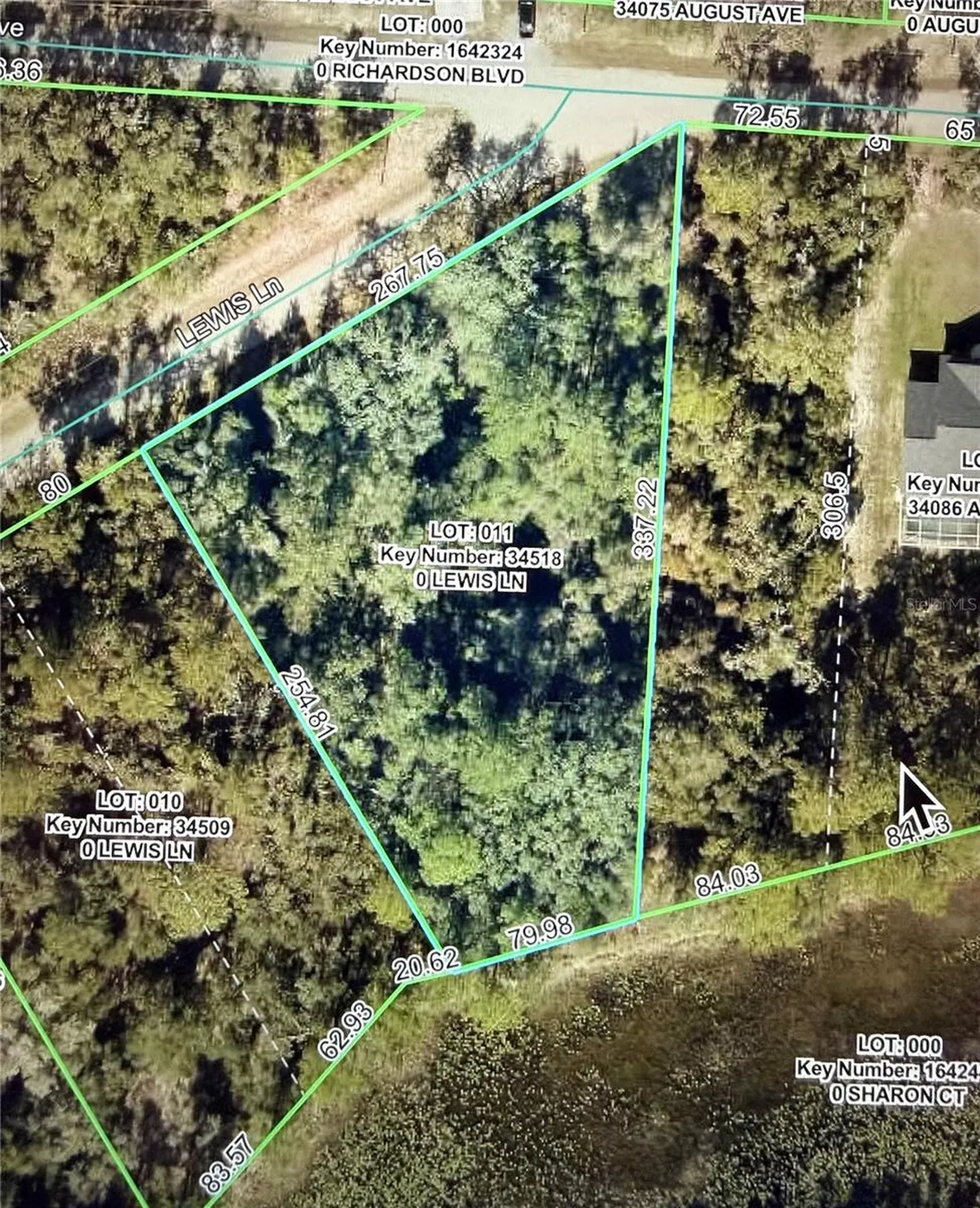 Lewis Lane Webster FL 33597