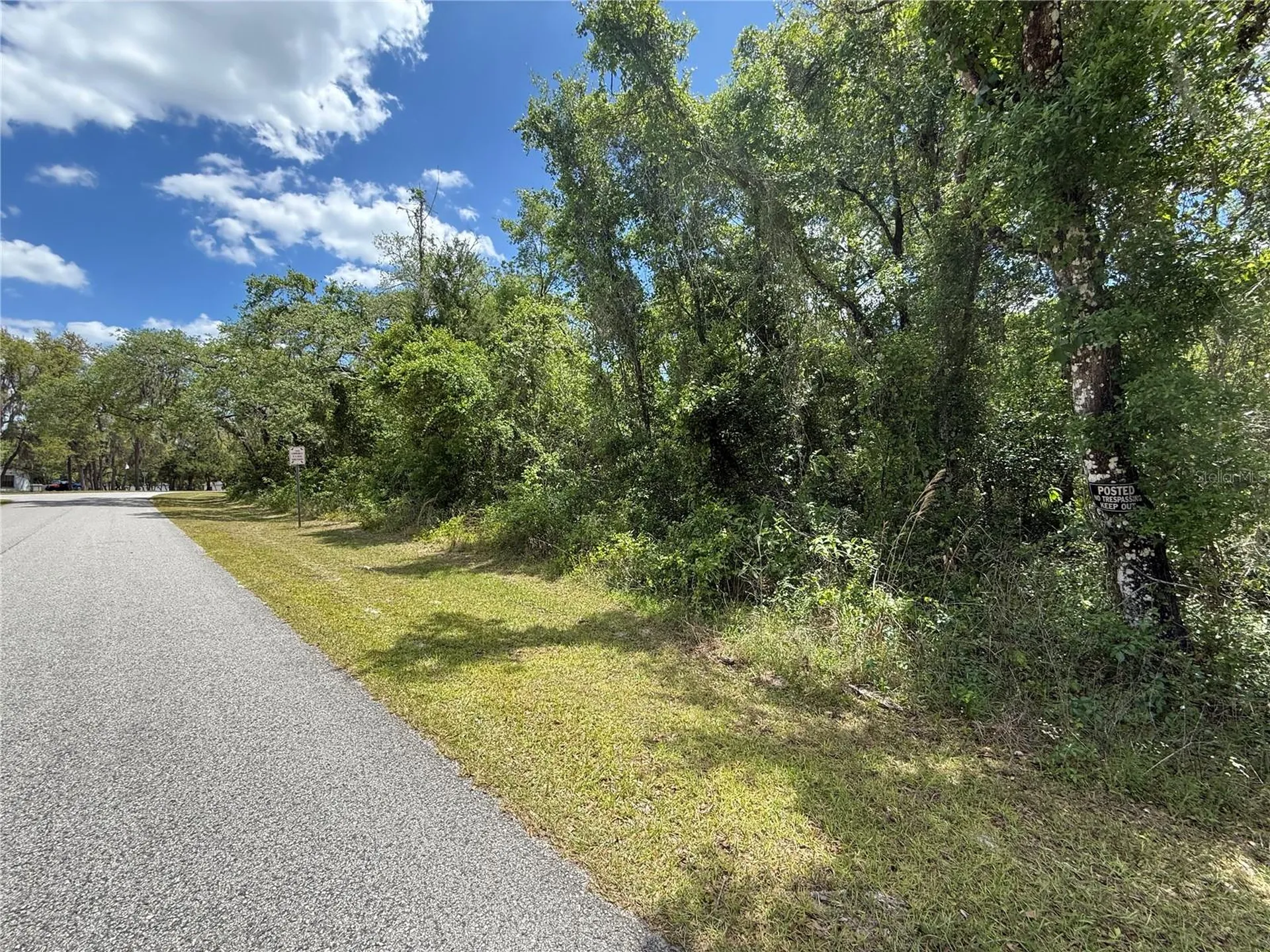 Lewis Lane Webster FL 33597