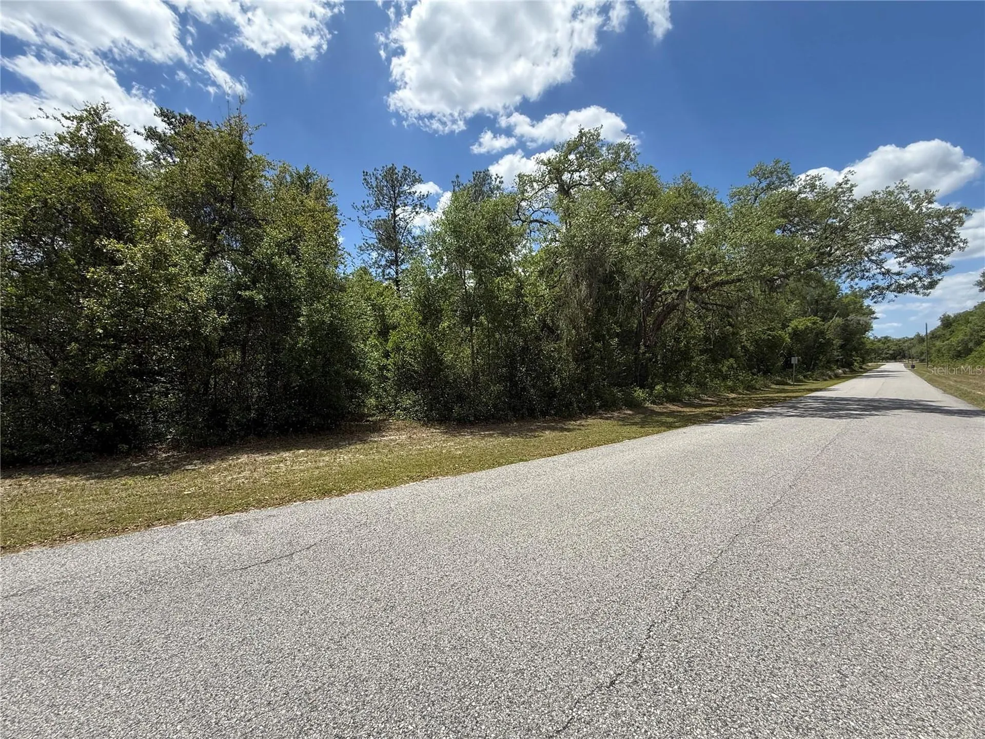 Lewis Lane Webster FL 33597