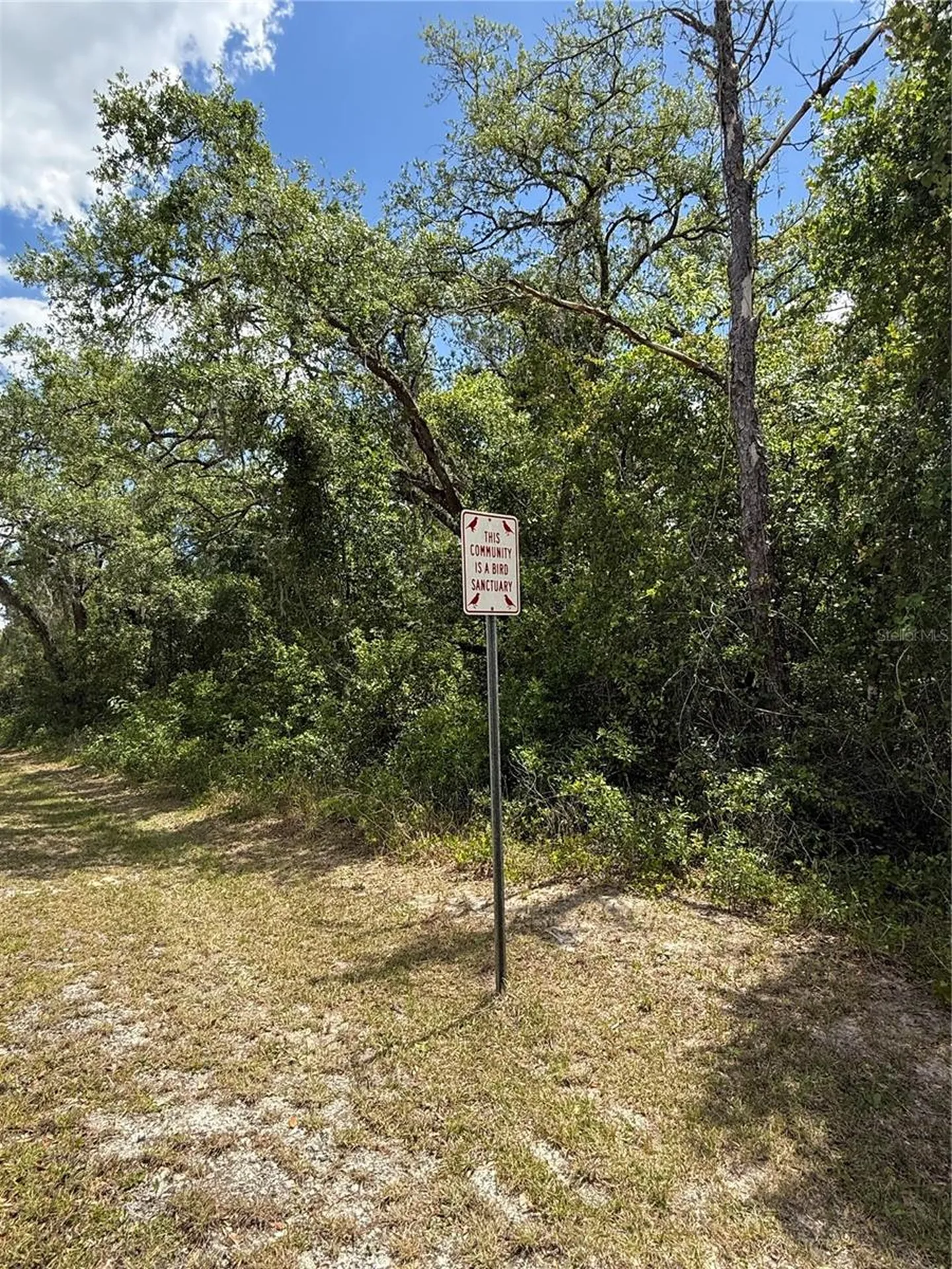 Lewis Lane Webster FL 33597