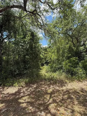 Lewis Lane Webster FL 33597