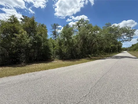Lewis Lane Webster FL 33597