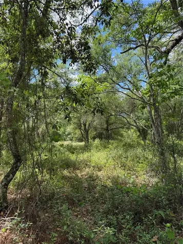 Lewis Lane Webster FL 33597