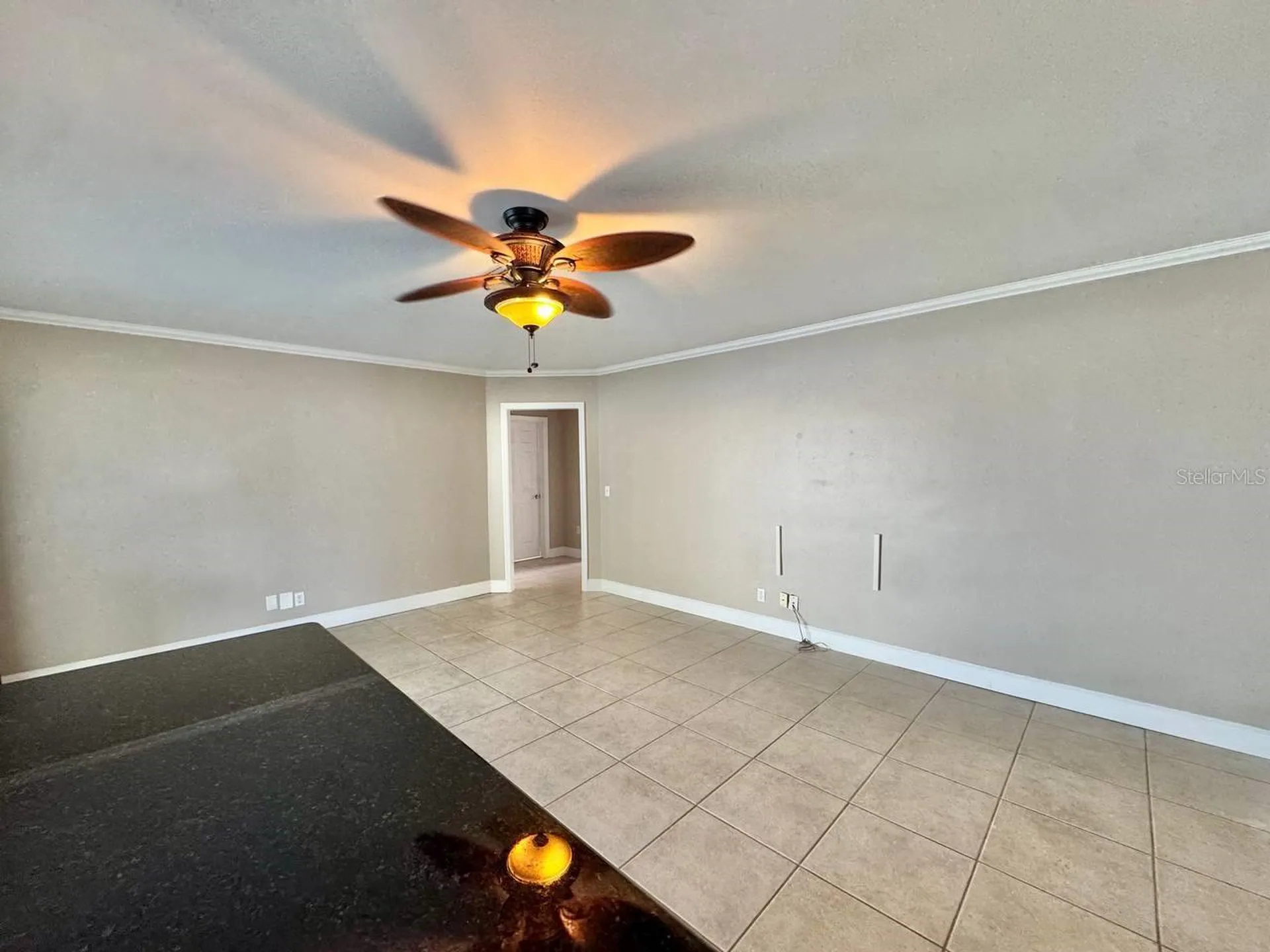6316 Lake Sunrise Drive Apollo Beach FL 33572