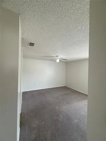 1101 Spring Meadow Drive Kissimmee FL 34741
