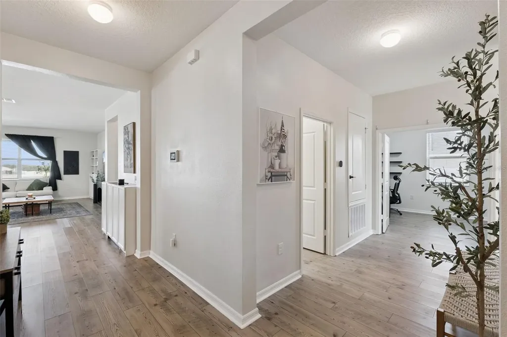 2429 Begonia Street Mascotte FL 34753