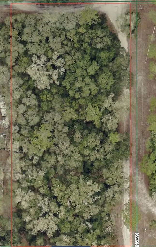SW 158th Lane Dunnellon FL 34432