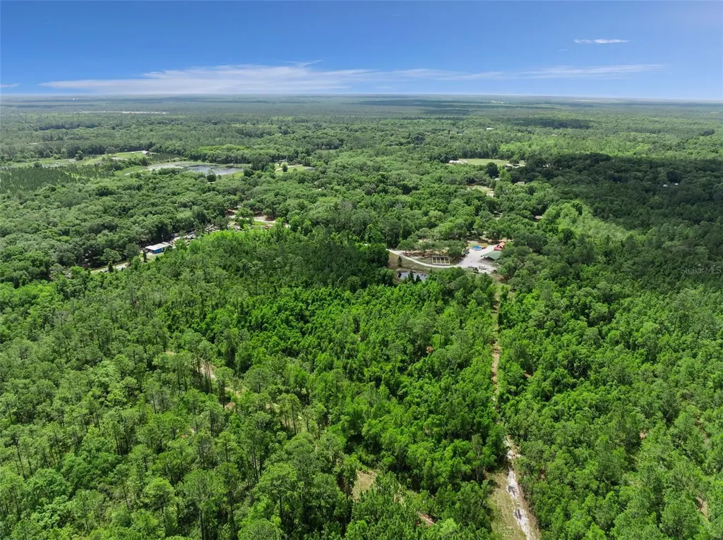 1140 Buckles Road Pierson FL 32180