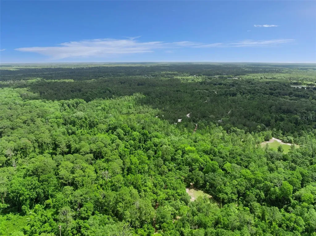 1140 Buckles Road Pierson FL 32180