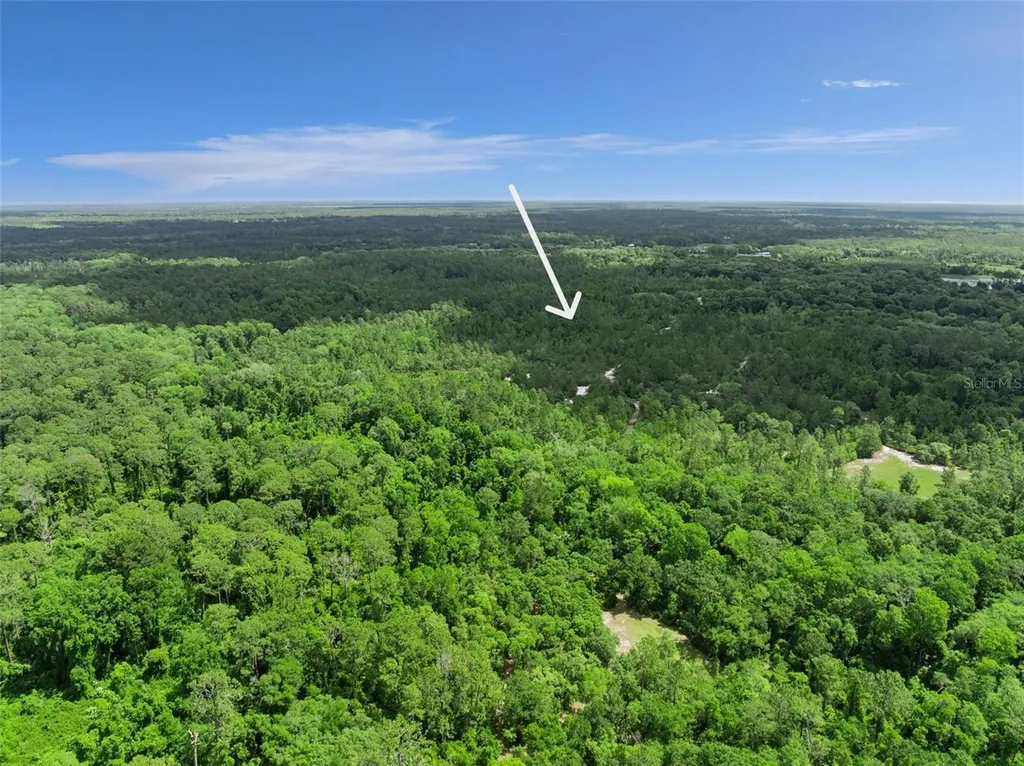 1140 Buckles Road Pierson FL 32180