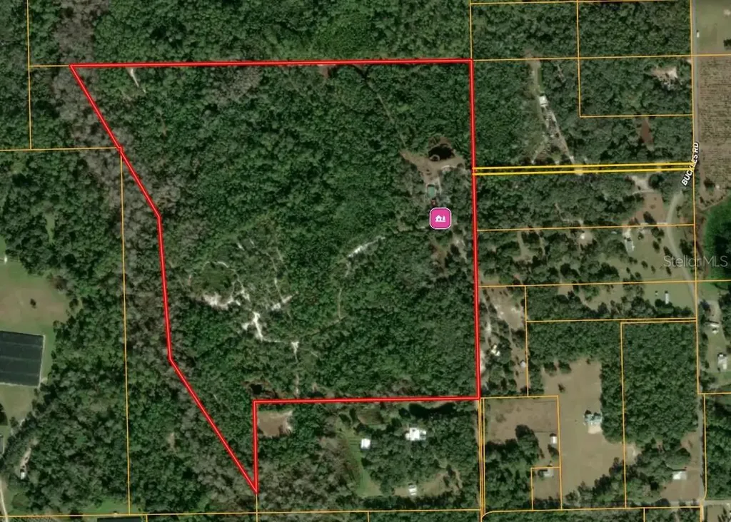 1140 Buckles Road Pierson FL 32180