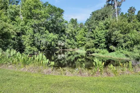 1483 Mirkwood Cove Oviedo FL 32765