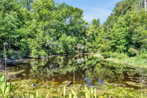 1483 Mirkwood Cove Oviedo FL 32765