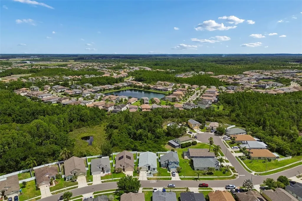 30449 Tremont Drive Wesley Chapel FL 33543