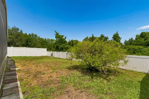30449 Tremont Drive Wesley Chapel FL 33543