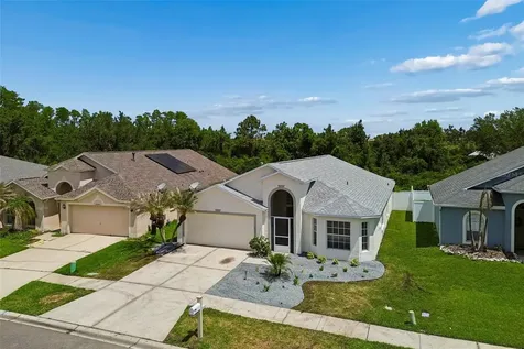 30449 Tremont Drive Wesley Chapel FL 33543