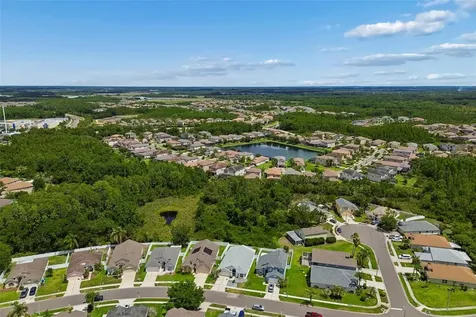 30449 Tremont Drive Wesley Chapel FL 33543