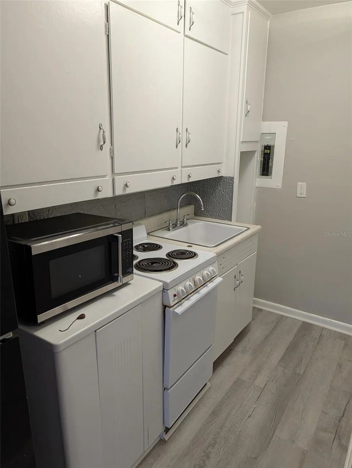608 N Baker Street Mount Dora FL 32757