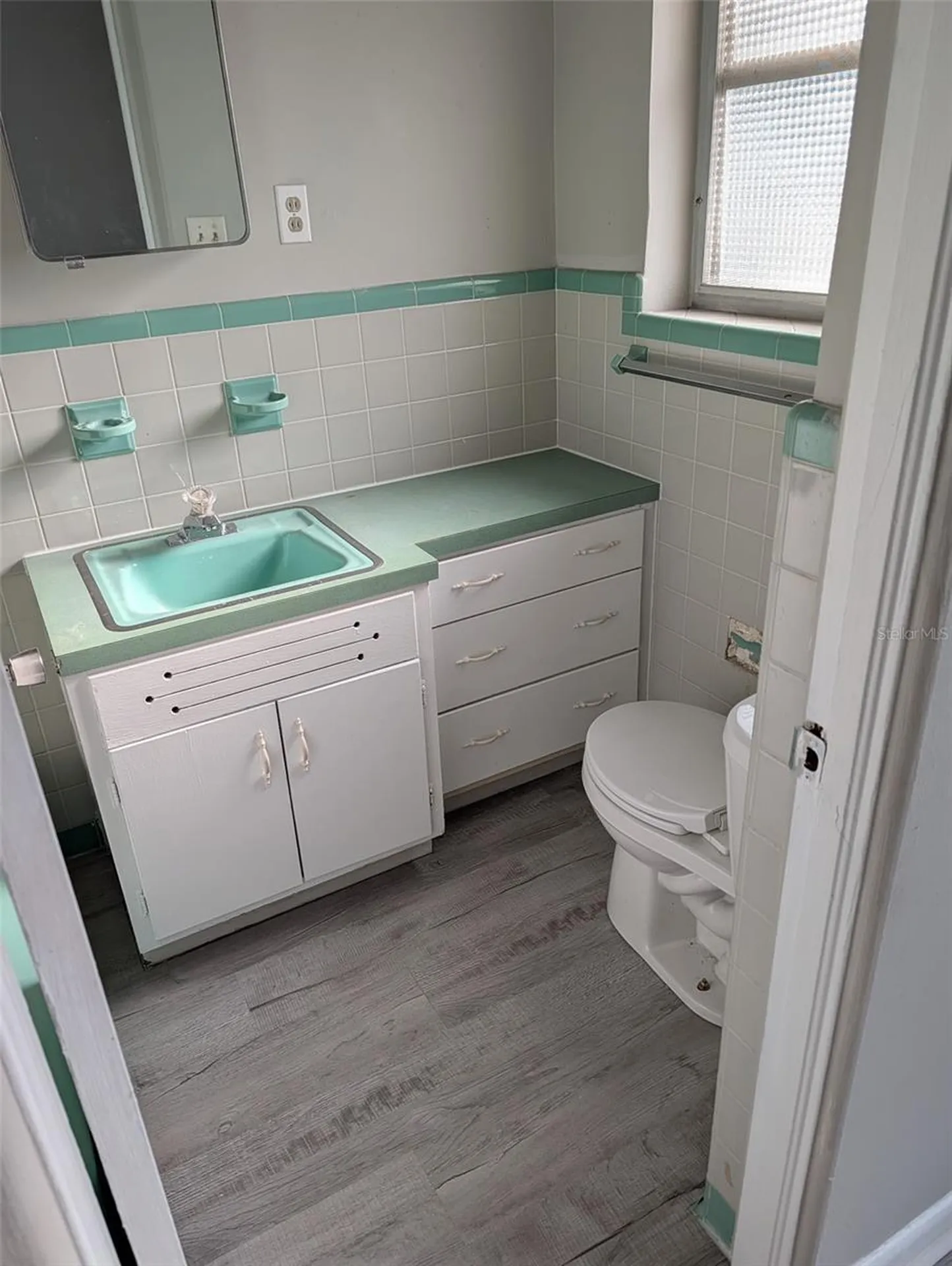 608 N Baker Street Mount Dora FL 32757
