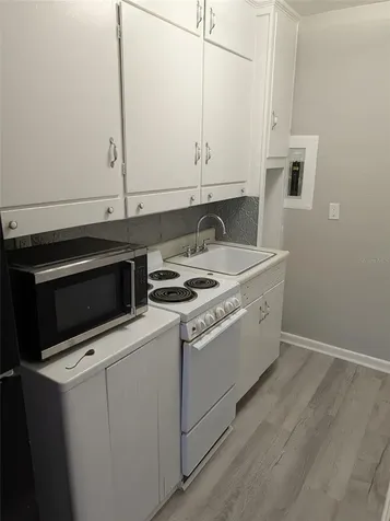 608 N Baker Street Mount Dora FL 32757