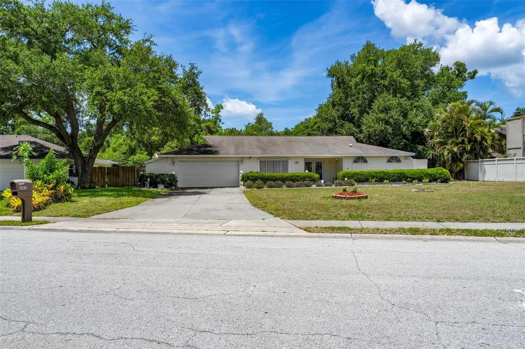 207 Dunbridge Drive Palm Harbor FL 34684