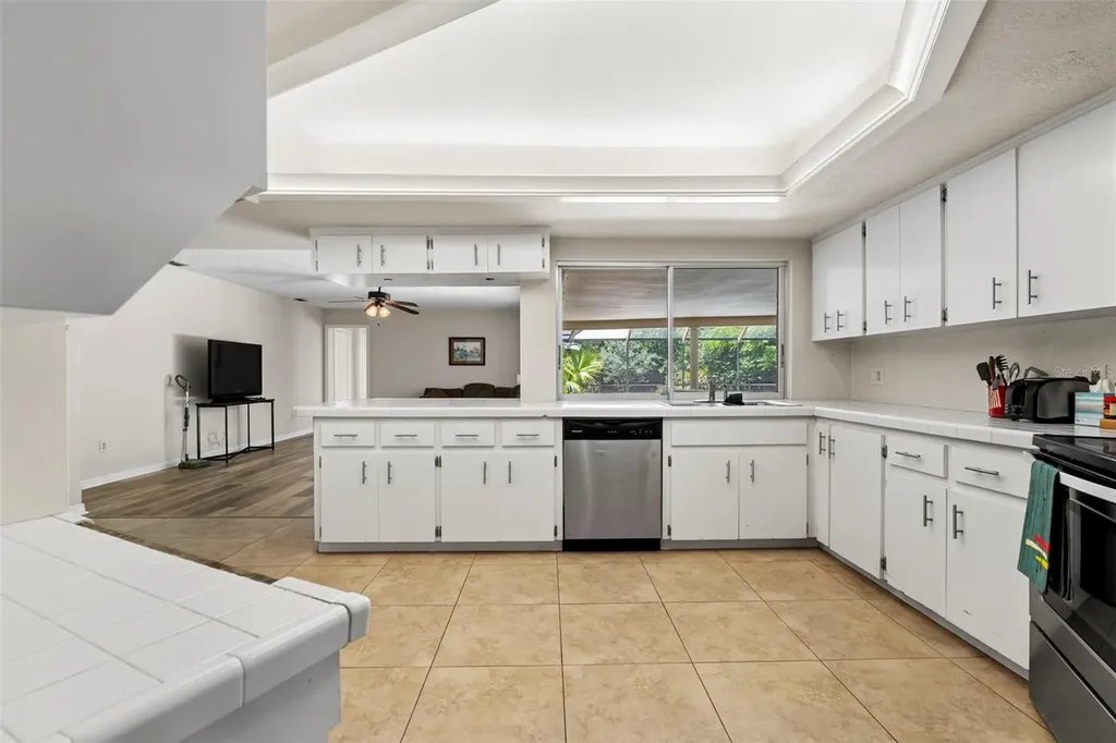 207 Dunbridge Drive Palm Harbor FL 34684