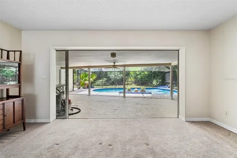207 Dunbridge Drive Palm Harbor FL 34684