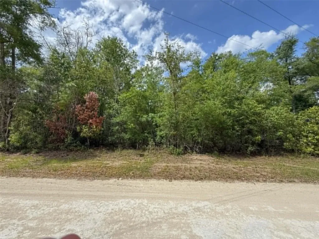 Tbd 282nd Terrace Branford FL 32008