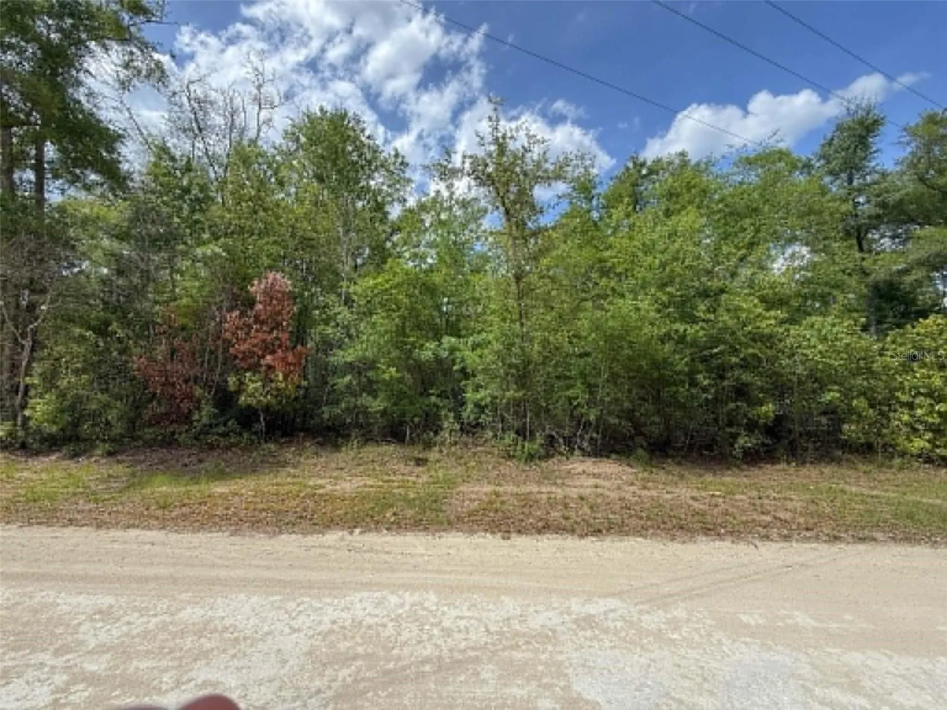 Tbd 282nd Terrace Branford FL 32008