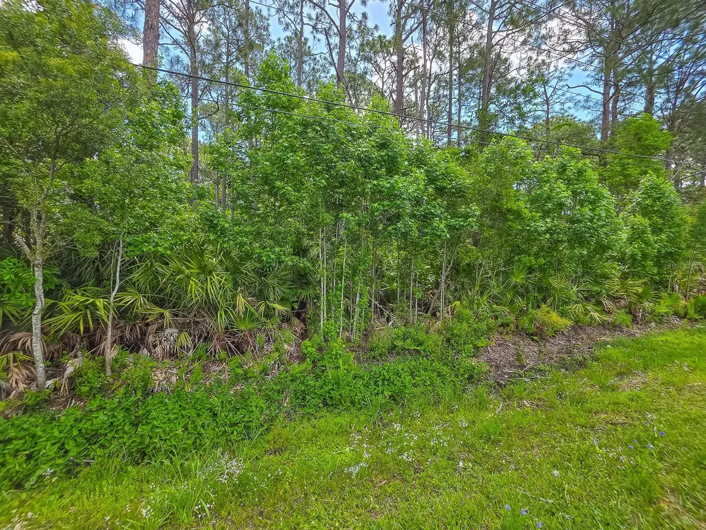9152 U S Highway 1 St Augustine FL 32086