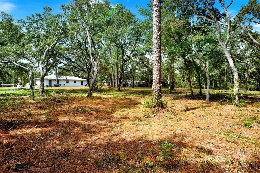 2133 S Colonial Avenue Homosassa FL 34448