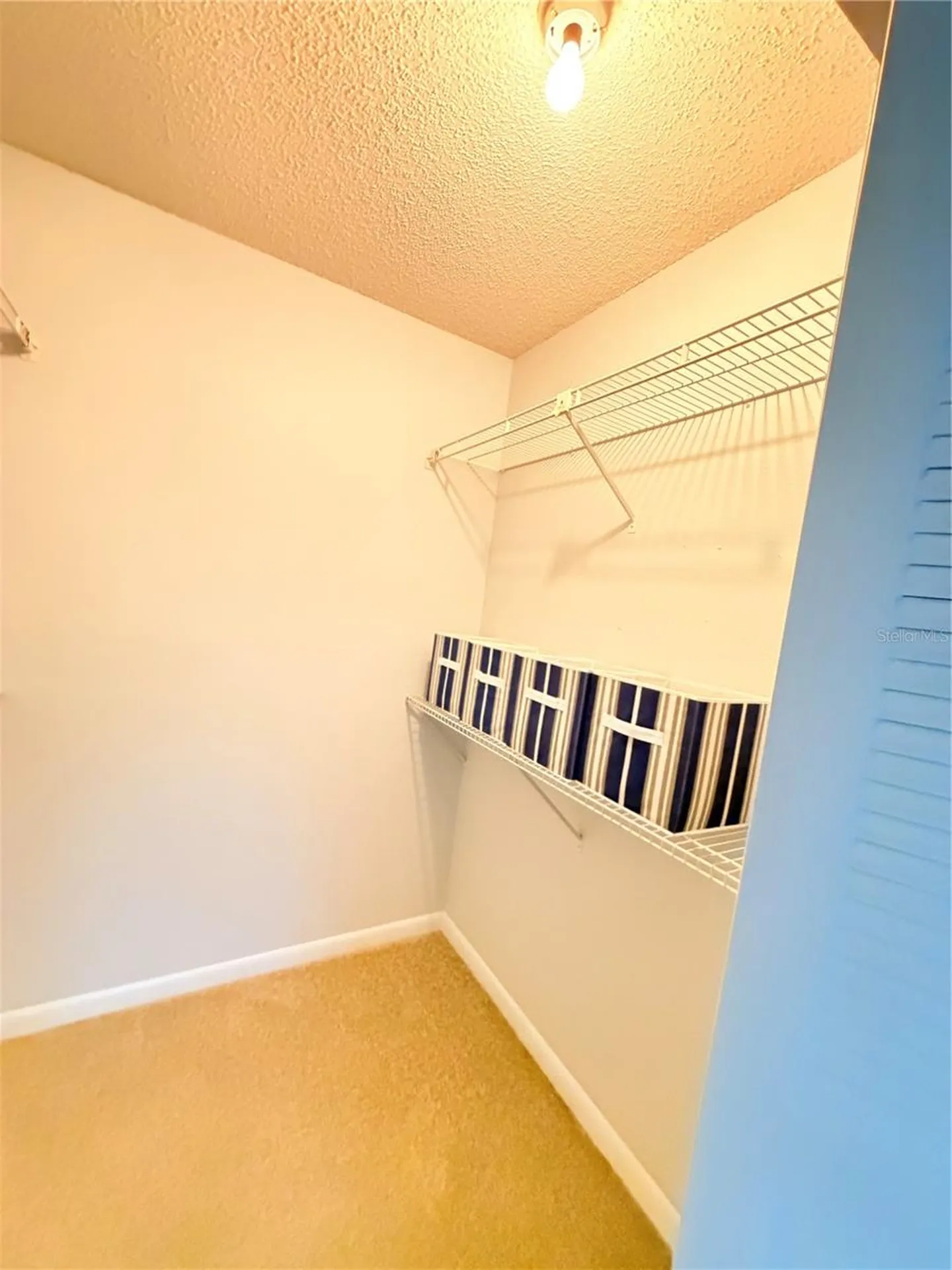 3914 Atrium Drive Orlando FL 32822