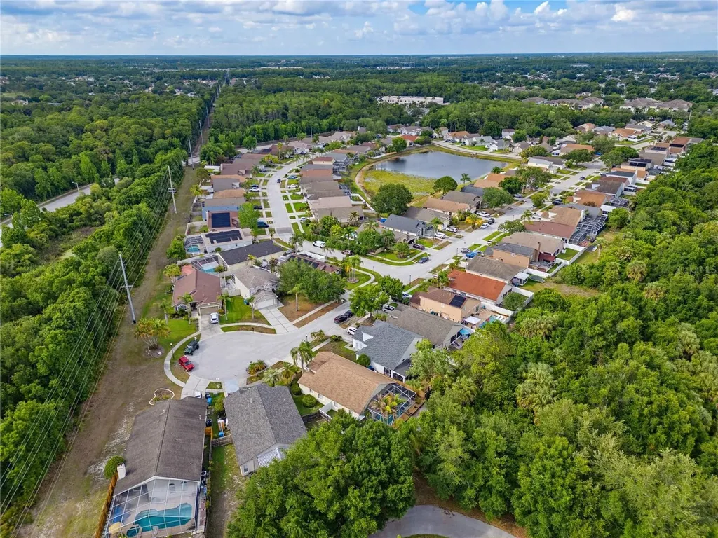10236 Charleston Corner Road Tampa FL 33635