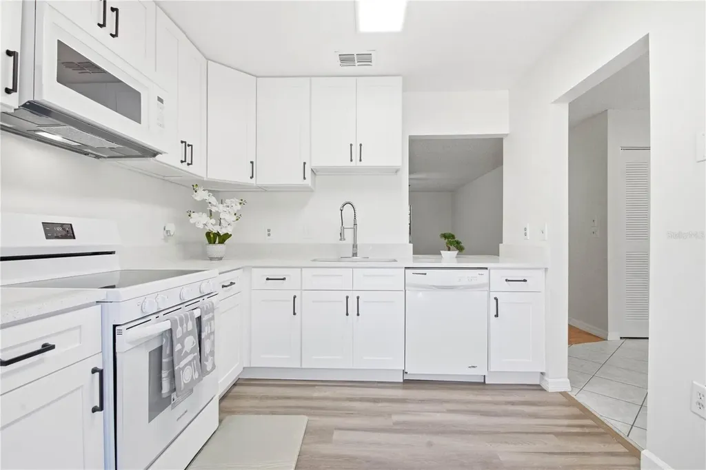 2909 Fig Court Palm Harbor FL 34684