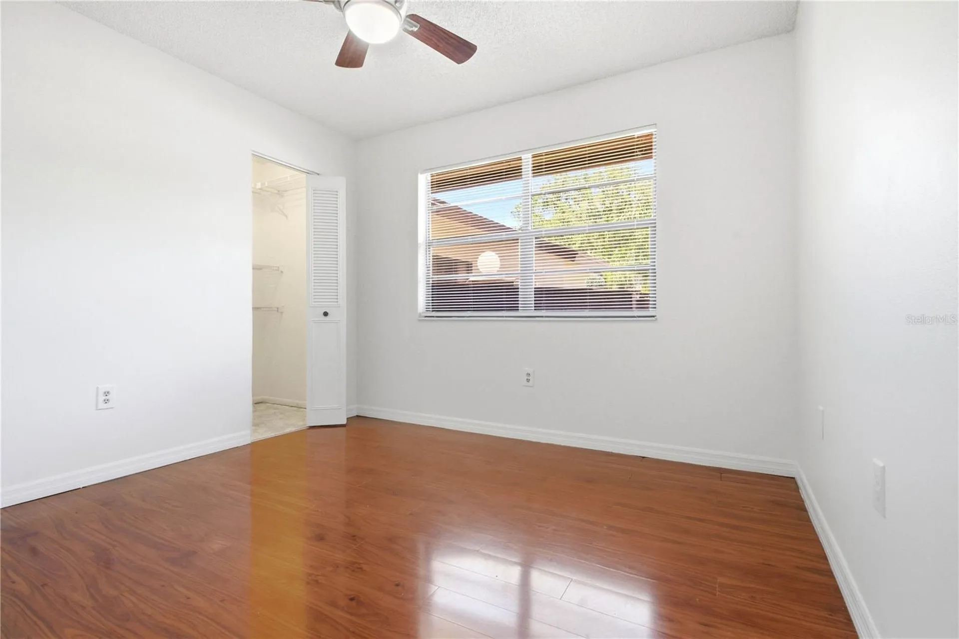 2909 Fig Court Palm Harbor FL 34684