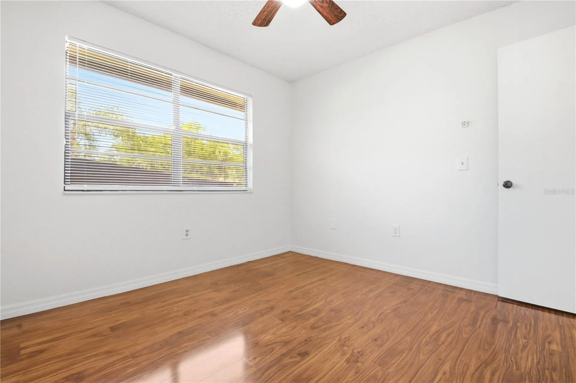 2909 Fig Court Palm Harbor FL 34684