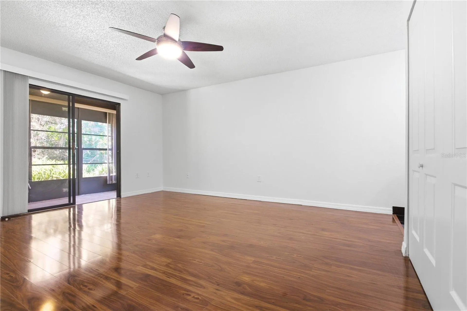 2909 Fig Court Palm Harbor FL 34684