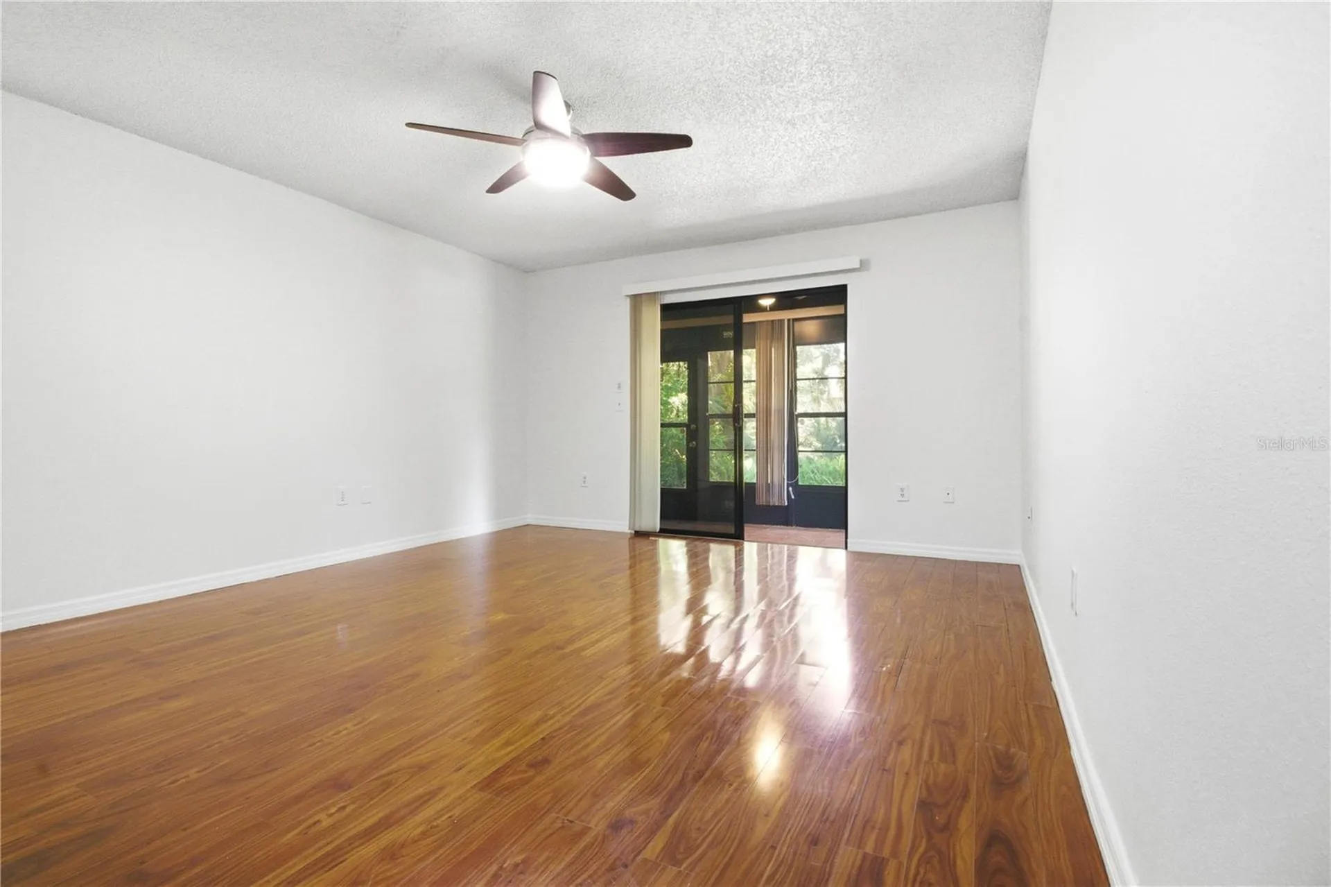 2909 Fig Court Palm Harbor FL 34684