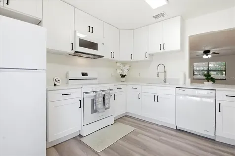 2909 Fig Court Palm Harbor FL 34684