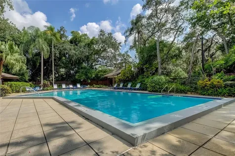 2909 Fig Court Palm Harbor FL 34684