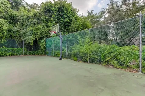 2909 Fig Court Palm Harbor FL 34684