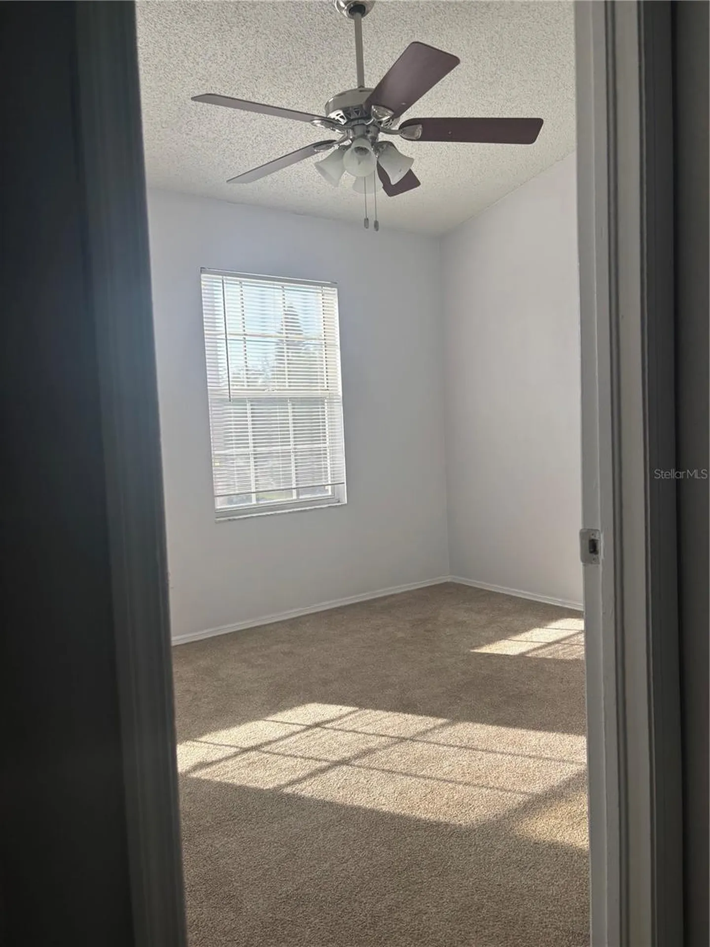 6308 Bayside Key Drive Tampa FL 33615