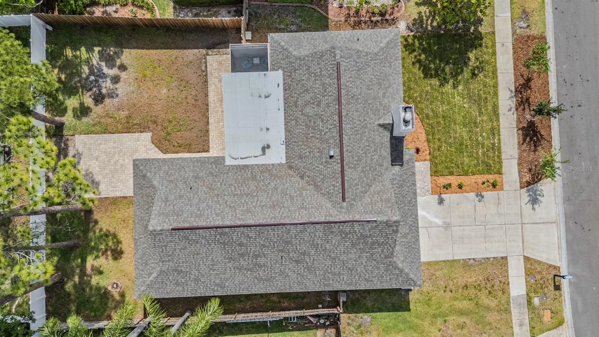4109 Summerdale Drive Tampa FL 33624