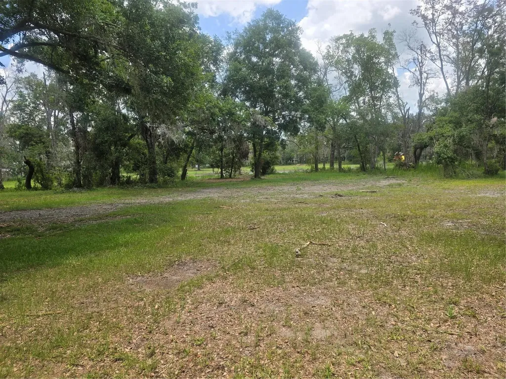22838 Bungalow Lane Land O Lakes FL 34639